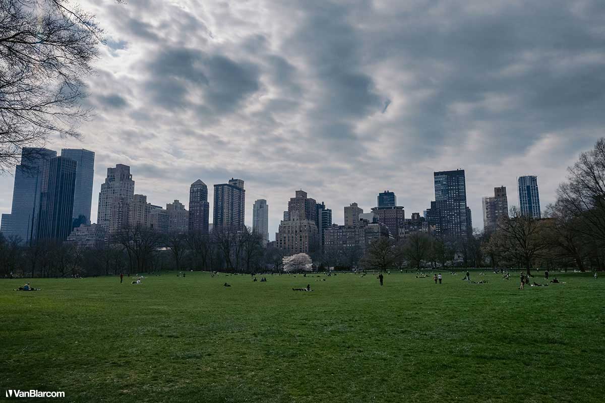 Social Distance New York City