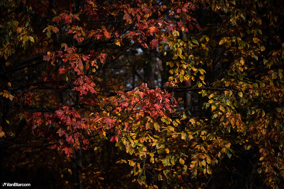 Pennsylvania Poconos in Autumn