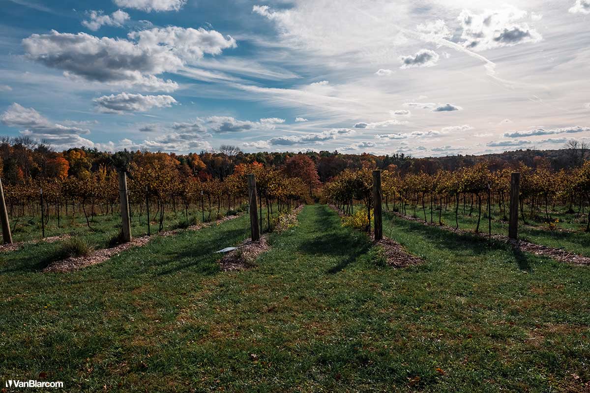Pennsylvania Poconos in Autumn