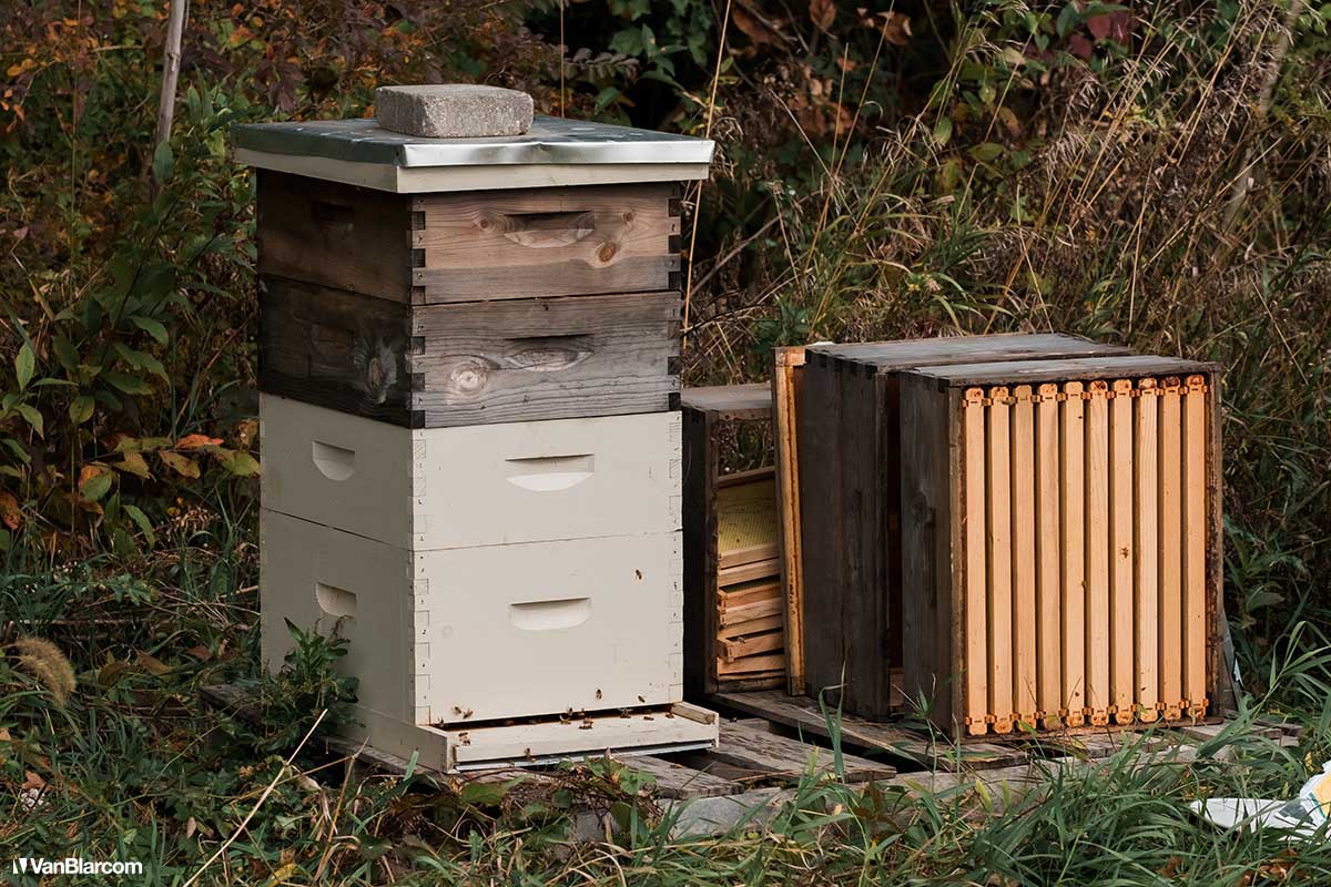 Peterson Farm Apiary