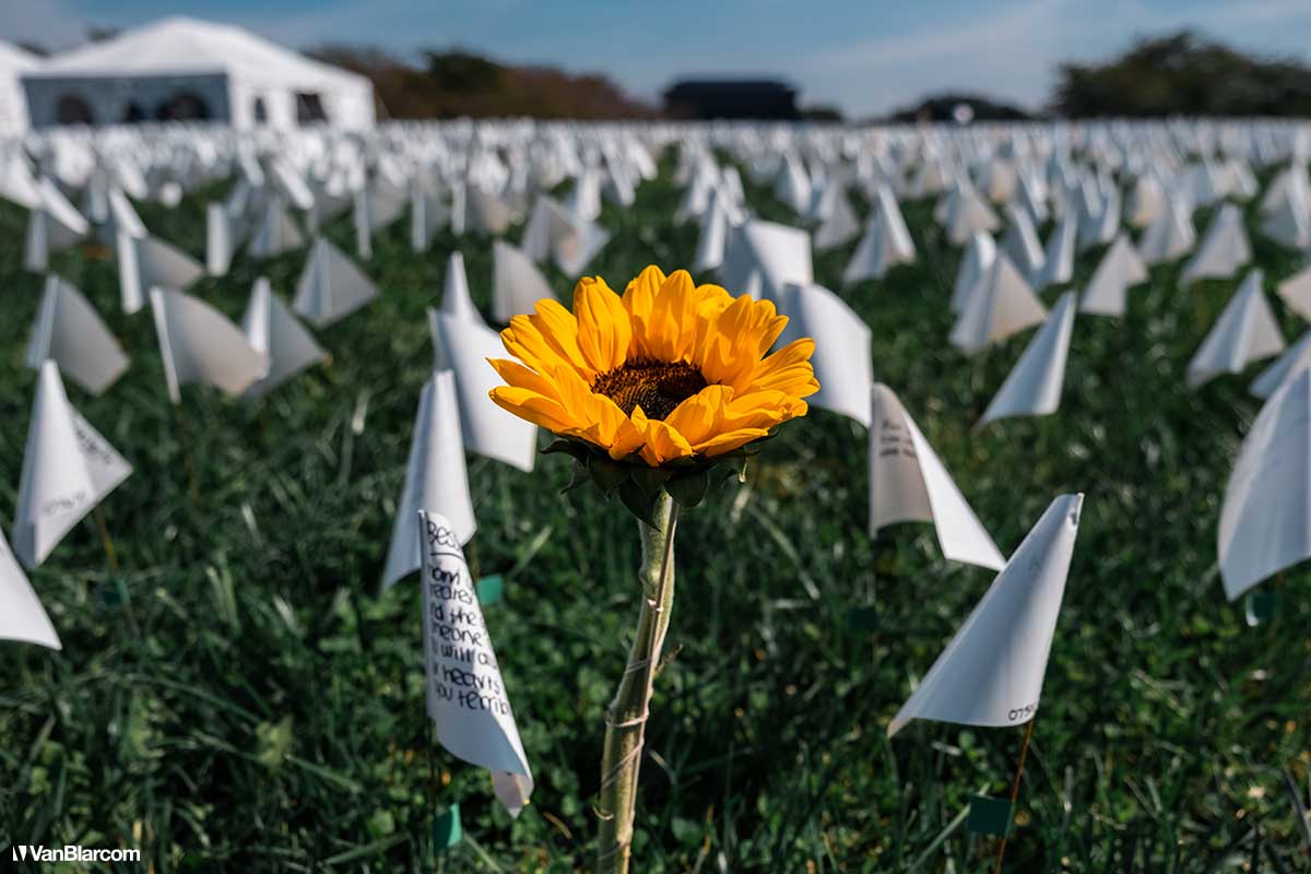 In America Flags: Washington DC