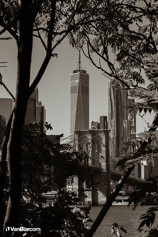 New York City - October 2026